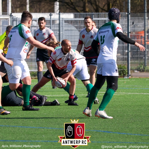 Antwerp II - Soignies IV